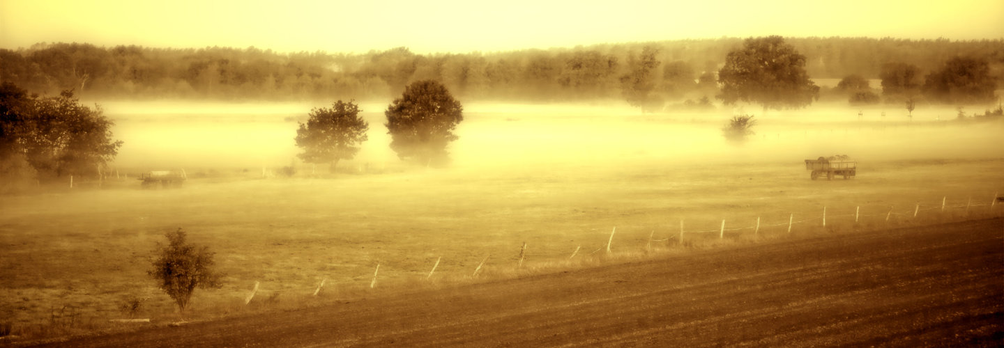 Novemberwetter nahe Hannover